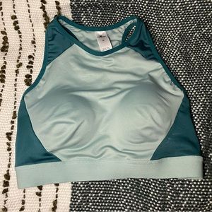 Crane sports bra